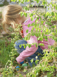 animaparc chasse aux oeufs
