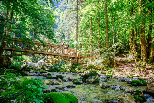 Le Massif de la Chartreuse : Une balade au frais