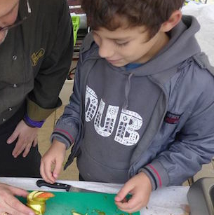 Festival de la Nature - Village de la Grosse Cloche