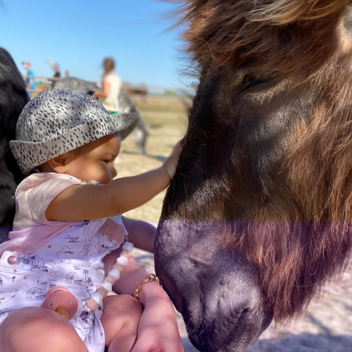 Z'Âne Attitude : Un petit bébé caresse un âne