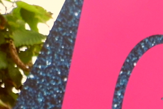 Paris CinéMômes 2013