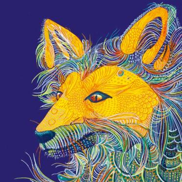 Pacamambo - Cie Alegria Kryptonite