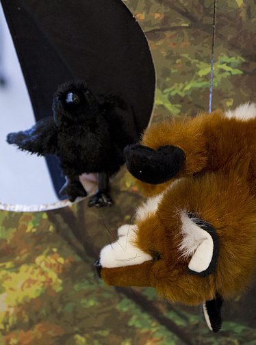 Forêt, dis-nous tout