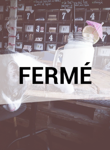 Chat'Lounge : Fermé