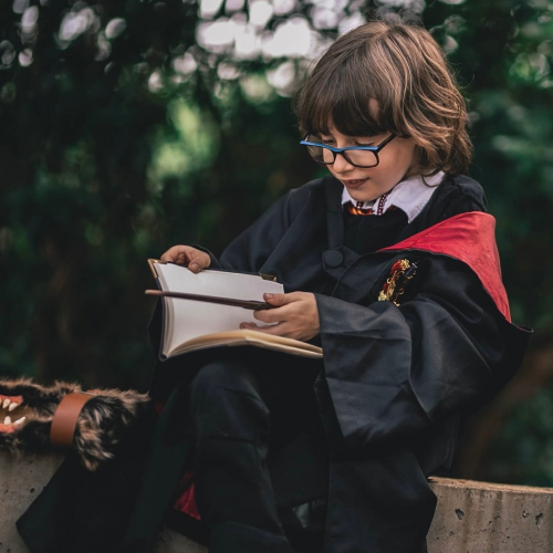 PopCon Toulouse : Wizard Assembly