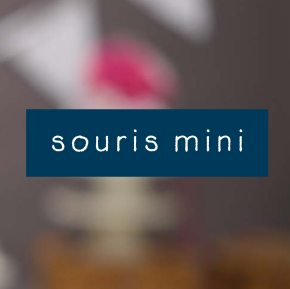 Souris Mini