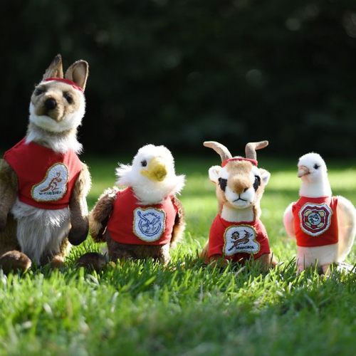 Expo Naturellement rugby au Muséum de Toulouse : mascottes
