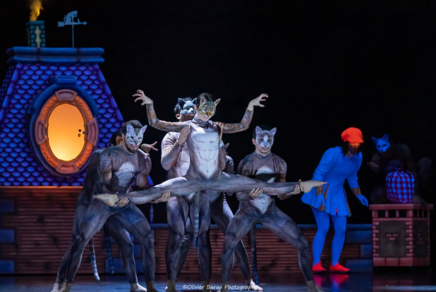 Mary Candies : les chats