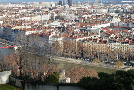 Jardin des curiosités - Jardin du Bélvédère