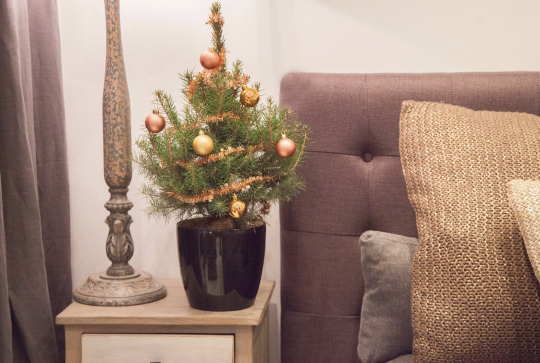 My Little sapin - Le cuivré