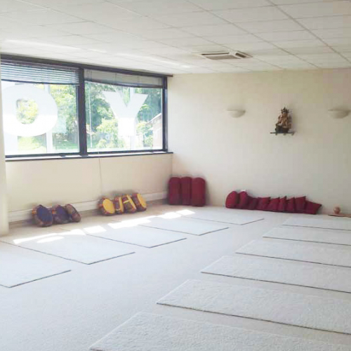 Académie Lyonnaise de Yoga
