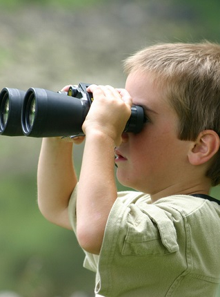 Les petits naturalistes