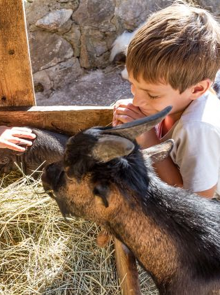 Enfant avec chèvre