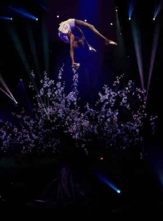 Gaïa – Cirque Phénix