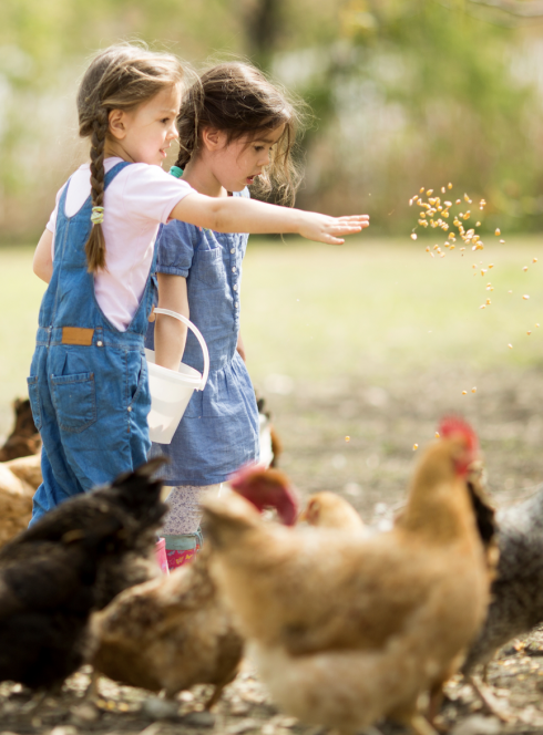 De ferme en ferme Hérault