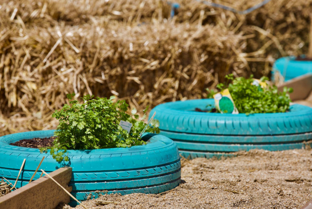 La Prairie du canal à Bobigny - Culture dans pneu