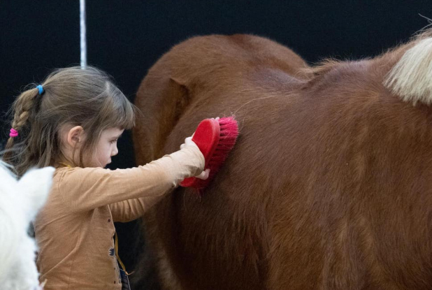 Jumping de Bordeaux : poney club