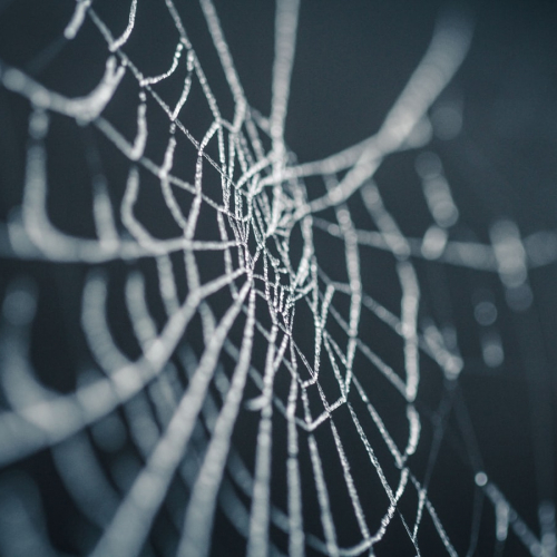Ferme d'Auriol : Halloween 2019