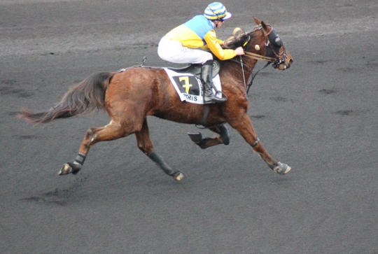 Hippodrome Vincennes