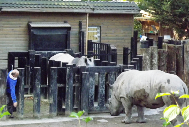 Zoo de Lille