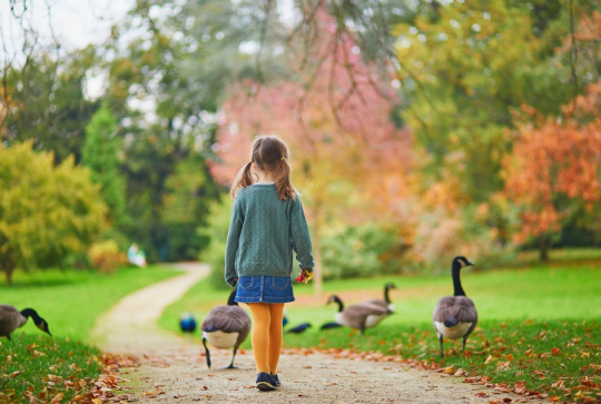 Visite au parc en famille à Paris : canards
