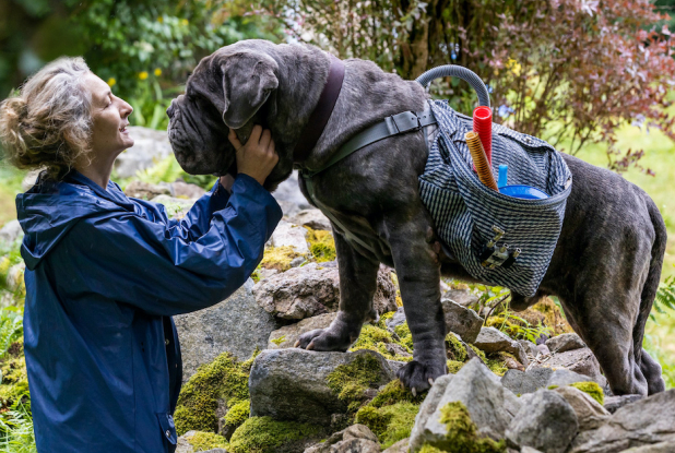 Mon Chat et Moi : Corinne Masiero et un chien