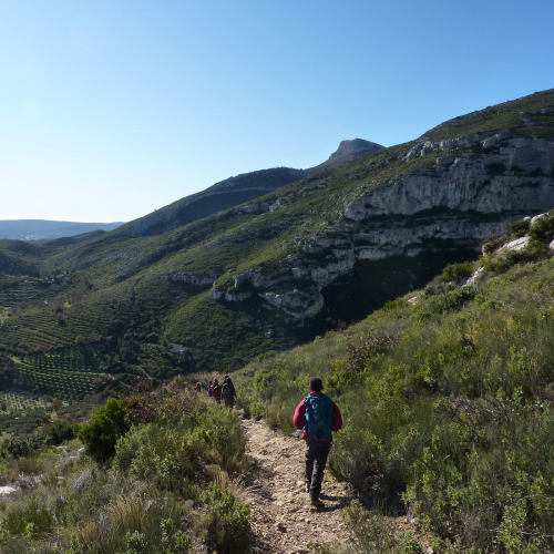 Domaine départemental de Pichauris