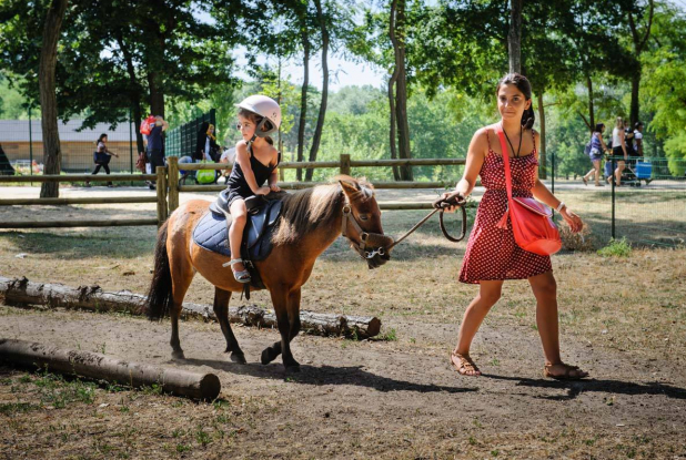 Ile de loisirs de Cergy-Pontoise - Poney