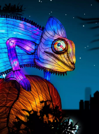 Jungle en voie d’illumination