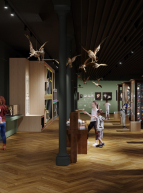 Musée Zoologique Strasbourg