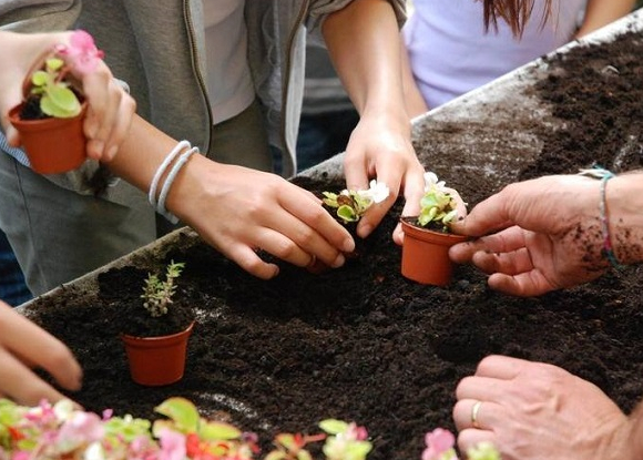 Fête des jardins @Christophe Noël