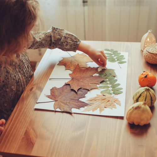 Comment faire un herbier avec les enfants ?
