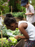 48h de l'agriculture urbaine à Marseille