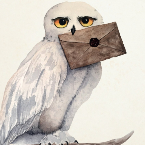 Exposition Harry Potter