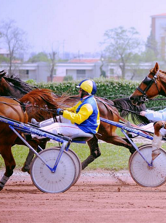 Le Défi du Galop : jeux gratuits à l’hippodrome