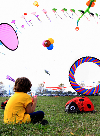 Envolez-vous au Festival International de l’Air