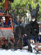 Le Xolo et le Bull Machin - Royal de Luxe : xolo