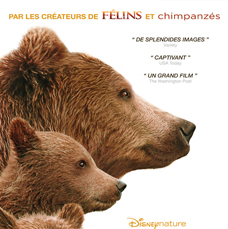 Concours Grizzly