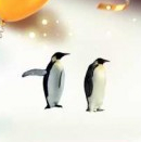 Noël à clown circus