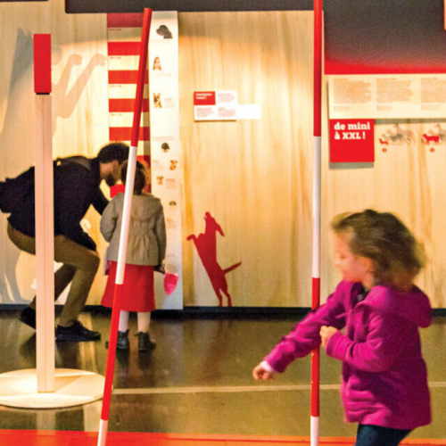 Expo Chiens et Chats à la Cité des sciences et de l'industrie