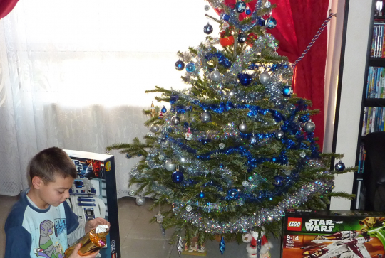 Concours mon beau sapin 2014 - Lionel