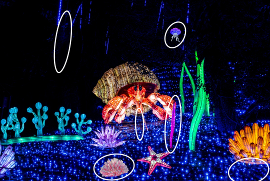 Lumières sauvages Peaugres