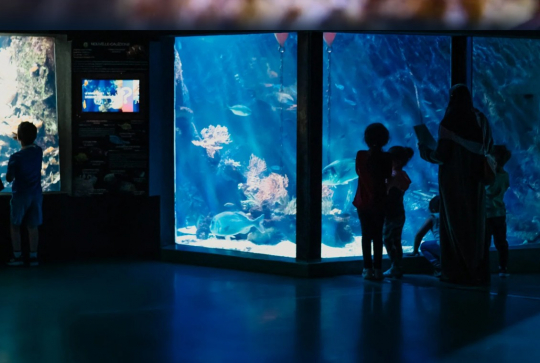 Visite en famille à l'Aquarium de Lyon