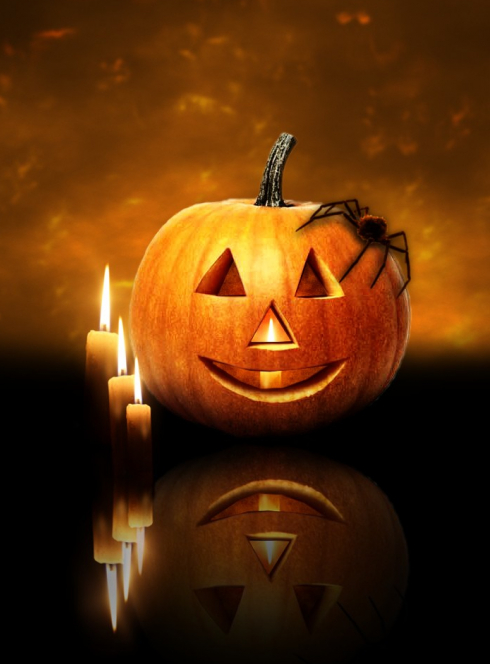 Halloween citrouille araignée