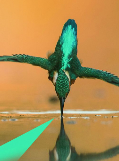 Exposition "Le Roi Pêcheur" -  Erwan Balança