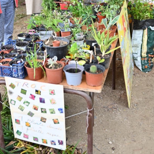 Journée des Jardins