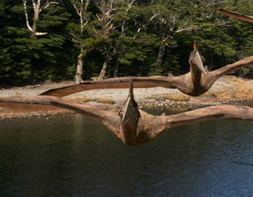 Sur la terre des dinosaures