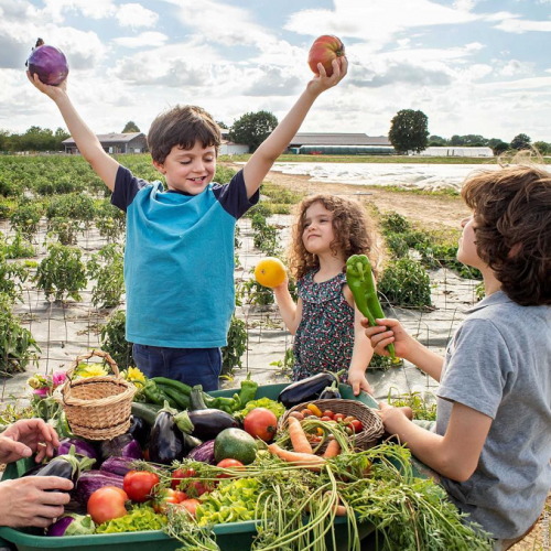 Journées Nationales de l'Agriculture : Découvrir les légumes en famille