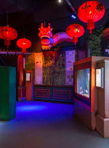 Nouvel an chinois 2022 à l'aquarium SEA LIFE PARIS