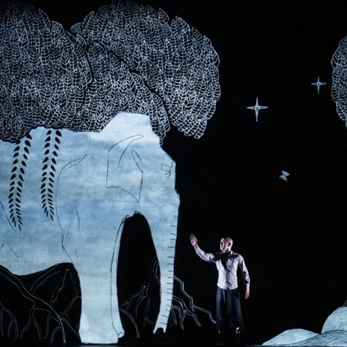 Chotto Desh : Un homme sur scène avec la projection d'un éléphant à côté de lui